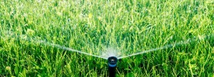 sprinkler system maintenance for spring