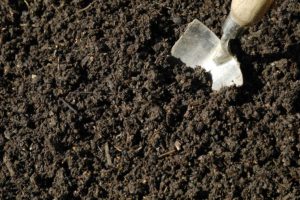 soil with shovel