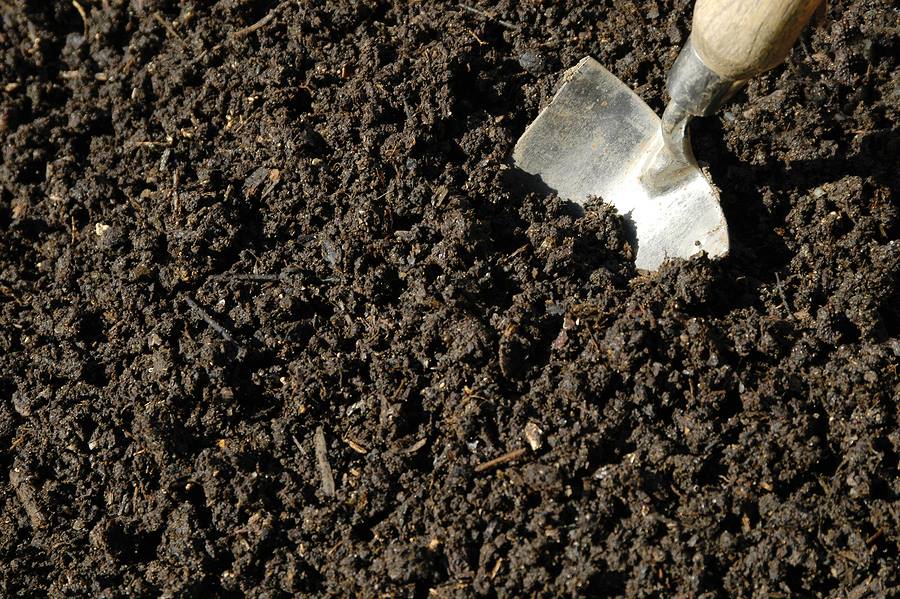 Regrading Your Yard - lawn soil