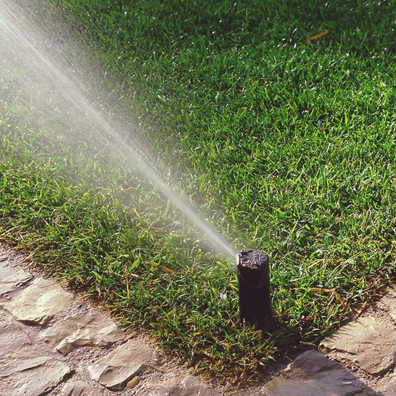 sprinkler watering lawn - sprinkler system for spring