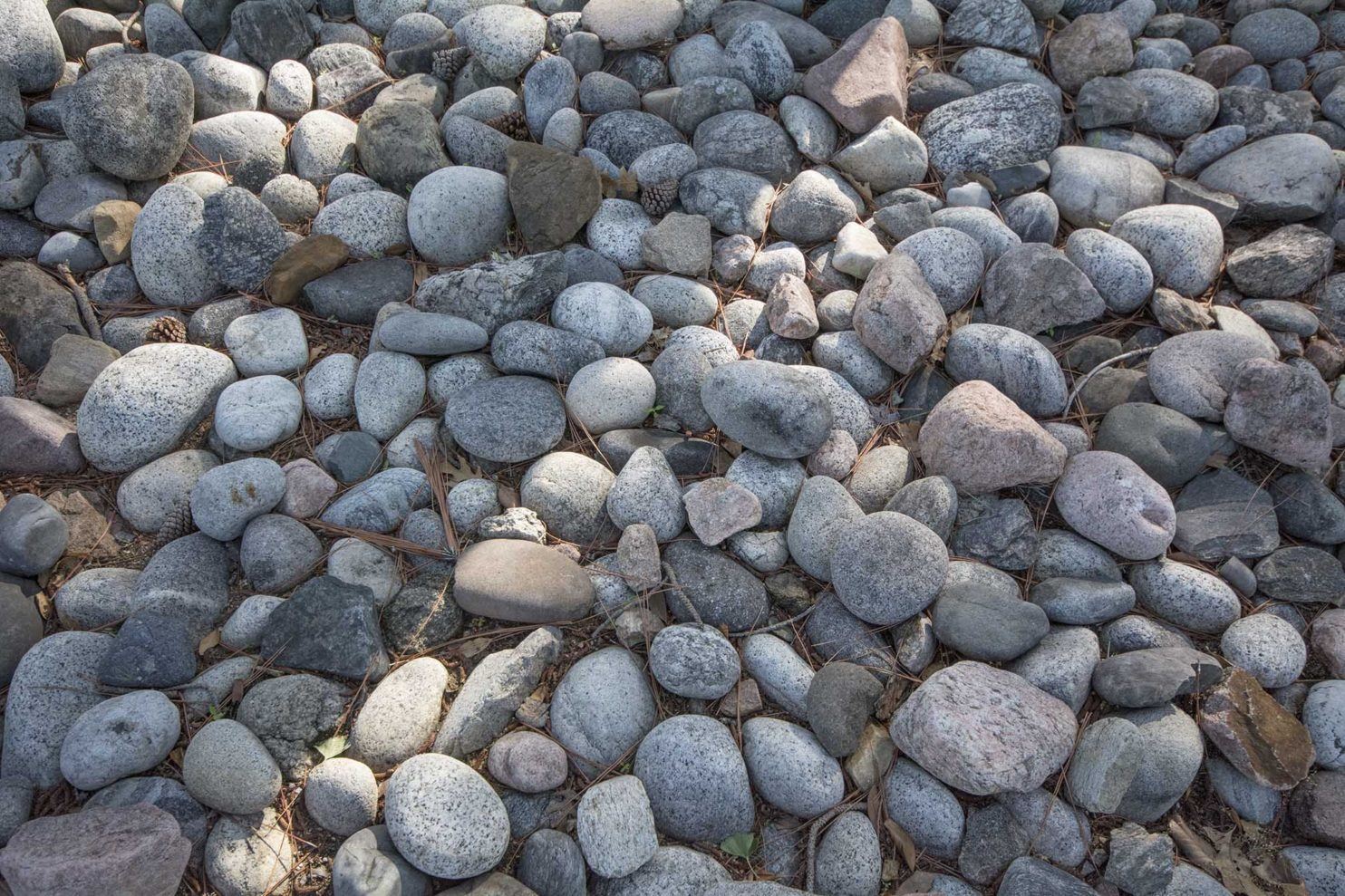 regrading your yard - rocks and stones on ground