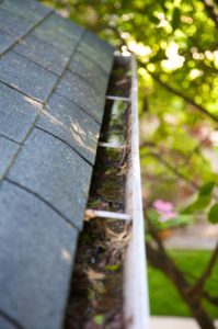 landscape drainage, How to Identify Landscape Drainage Issues
