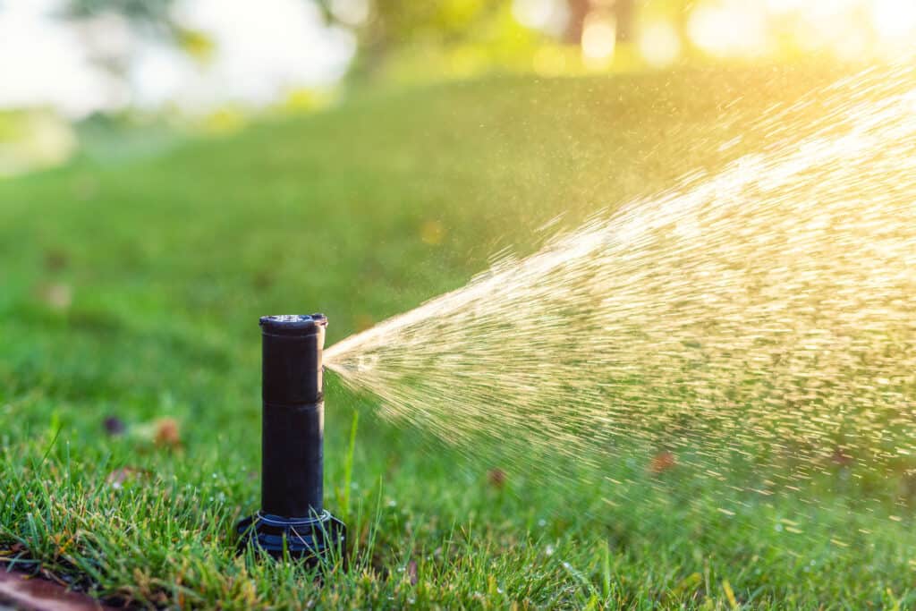 close up sprinkler watering the grass