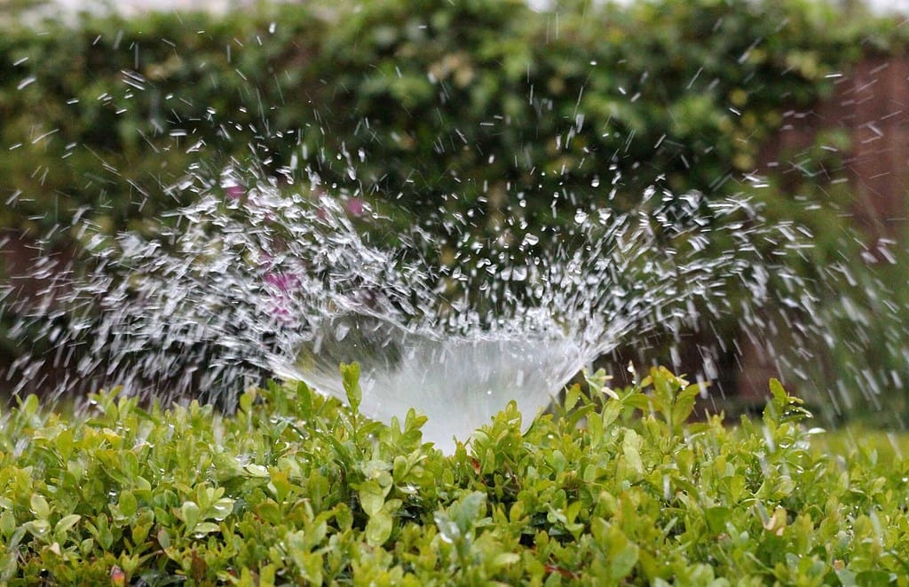 , 6 Sprinkler System Maintenance Tips for New Users