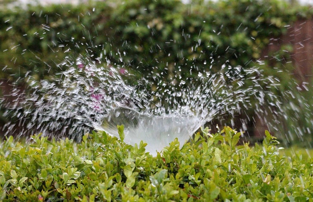 sprinkler system maintenance