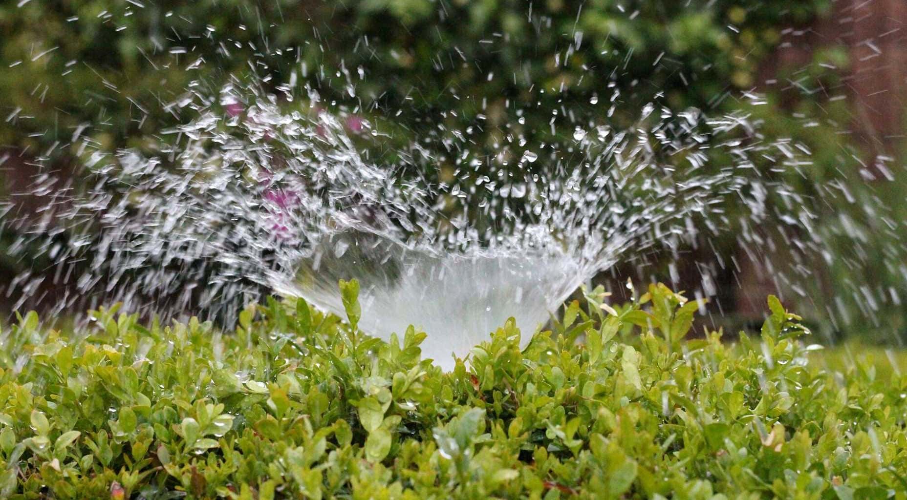 lawn sprinkler system, Sprinklers