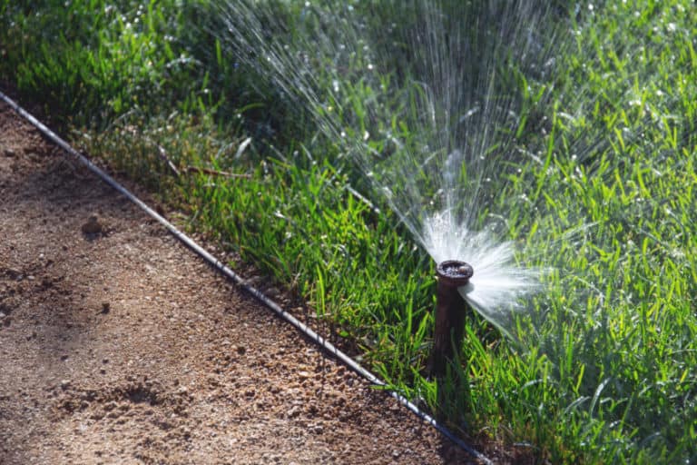 sprinkler system maintenance, 6 Sprinkler System Maintenance Tips for New Users