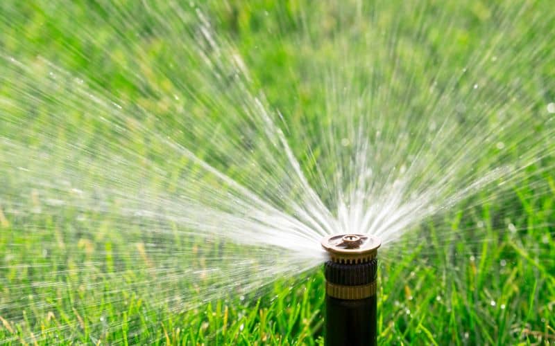 , How to Save Money on a Water Bill: Automatic Sprinklers