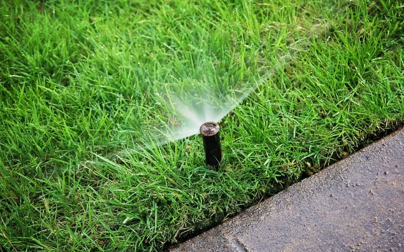 , Sprinkler System for Spring