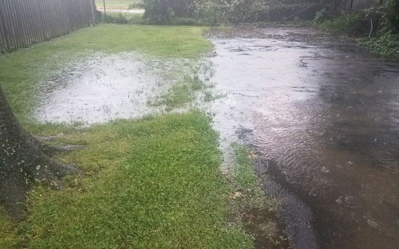, 5 Signs Your Lawn Drainage System Needs an Upgrade