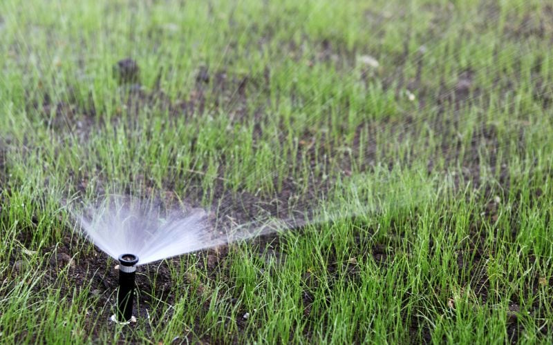sprinkler in the yard - Why You Should Winterize Your Sprinkler System